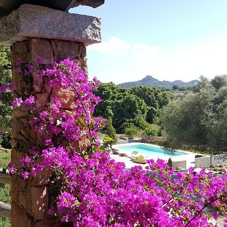 Agriturismo Desole Монти Экстерьер фото