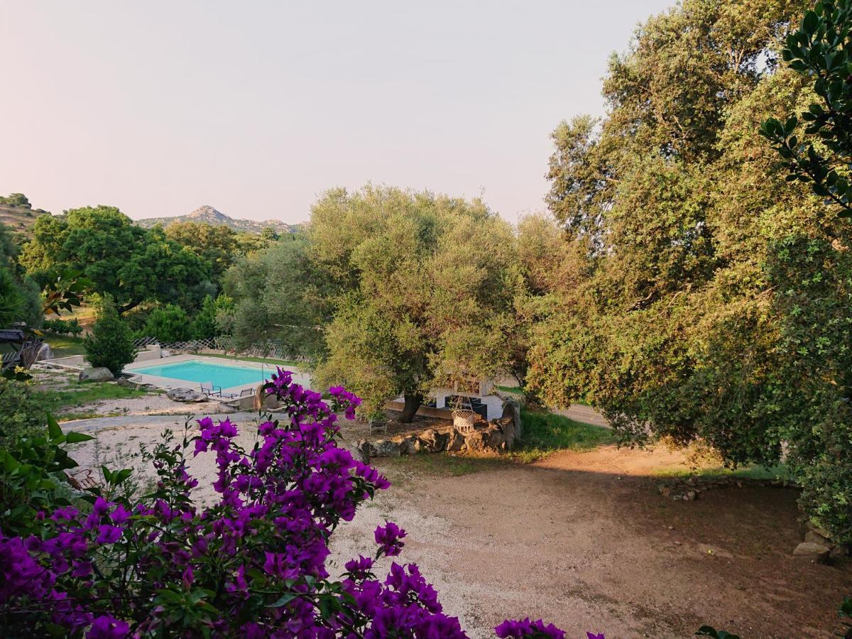 Agriturismo Desole Монти Экстерьер фото