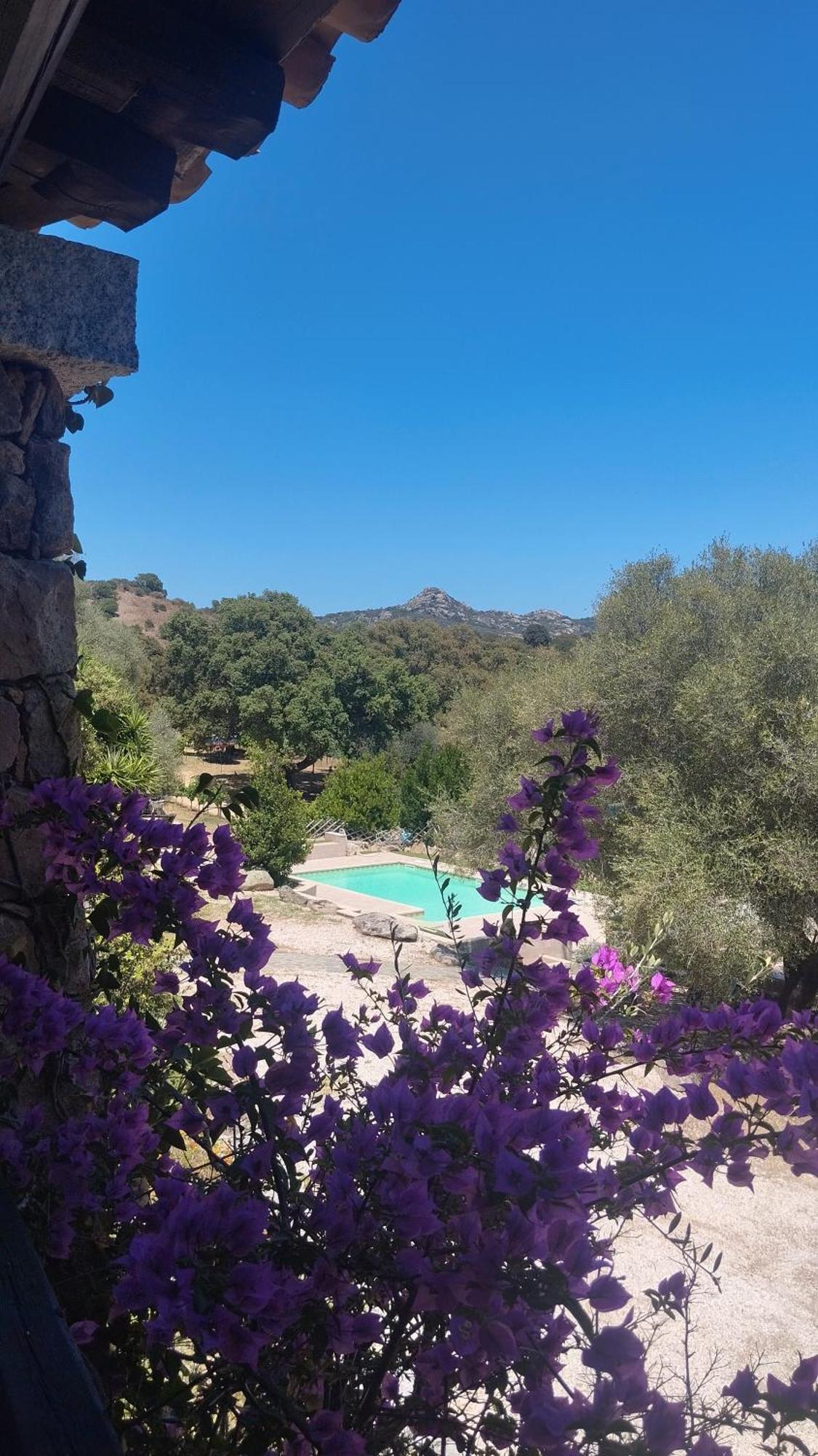 Agriturismo Desole Монти Экстерьер фото